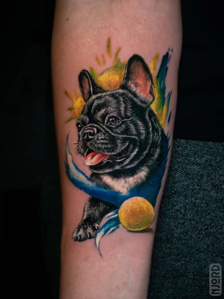 Colour French bulldog tattoo by Njord Ink